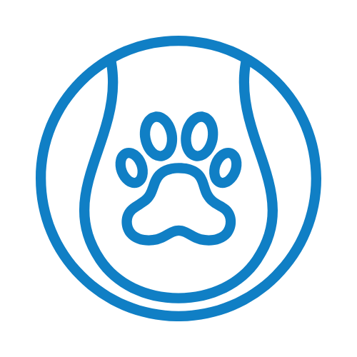 Dog Daycare